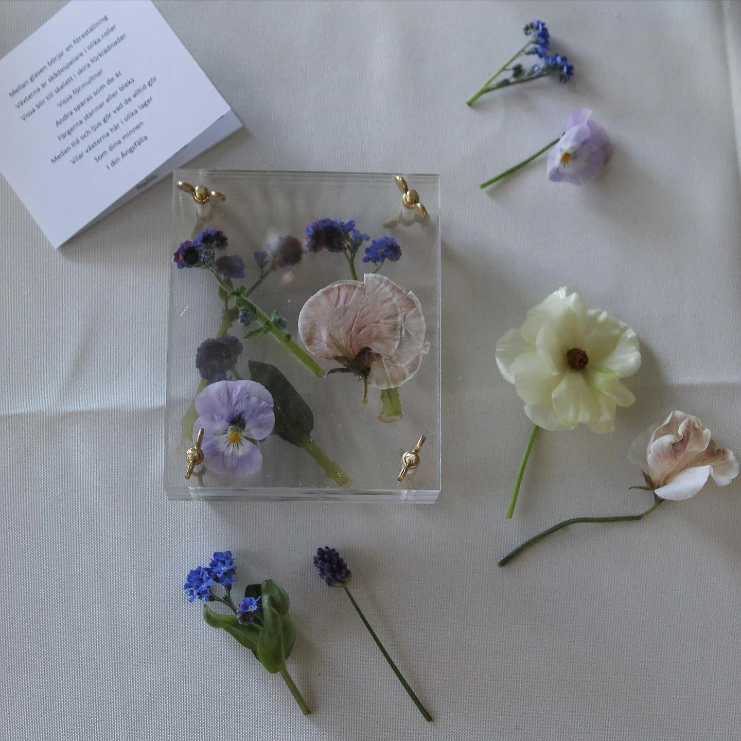 Pressed flowers in a transparent frame