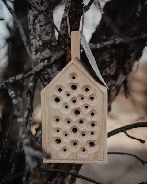 Wooden insect hotel hanging in a tree