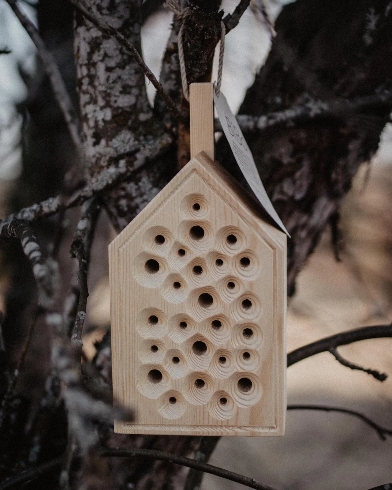 Wooden insect hotel hanging in a tree