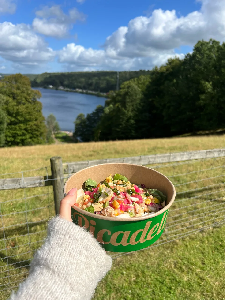 A hand holding a Picadeli salad bowl by a meadow overlooking a lake