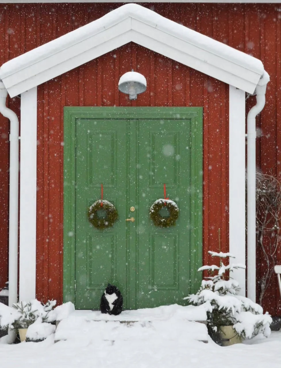 A cat by green doors on a snowy doorstep